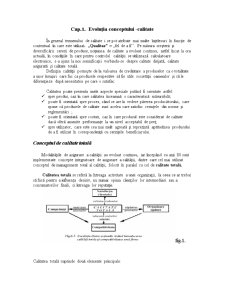 Fundamentele teoretice ale managementului calității - Pagina 3