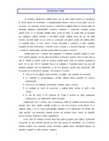 Auditul public intern - concept, obiective și procedură de efectuare - Pagina 3