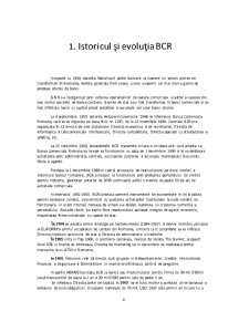 Dosar de practică la BCR - Pagina 4