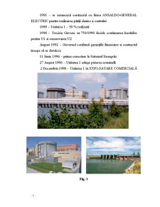 Impactul Producerii Energiei în CNE Cernavoda asupra Ecosistemelor Mediului Înconjurător - Pagina 5
