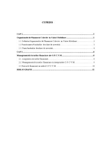 Managementul Riscurilor Financiare al OPCVM - Pagina 2