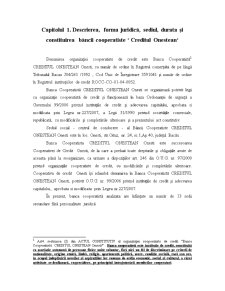 Banca Cooperatistă Creditul Onestean Onesti - Pagina 3