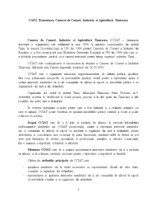 Practică la Camera de Comerț, Industrie și Agricultură Timișoara - Pagina 3