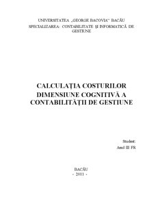 Calculația costurilor - dimensiune cognitivă a contabilității de gestiune - Pagina 1