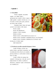 Producerea băuturilor din legume și fructe - sirop de cătină - Pagina 3