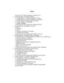 Analiza diagnostic a societății SC Morarit-Panificatie Băneasa SA - Pagina 2