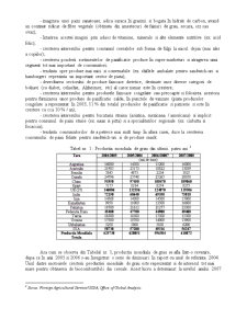 Analiza diagnostic a societății SC Morarit-Panificatie Băneasa SA - Pagina 5