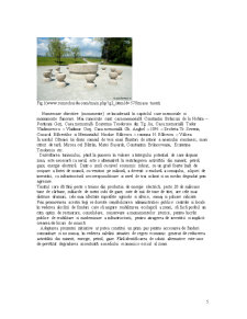 Turism cultural - obiective cultural istorice - Mănăstirile din nord-ul Olteniei - Pagina 5