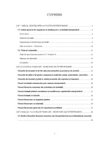 Analiza și proiectarea fluxurilor financiar-monetare ale întreprinderii SC Textilă SA - Pagina 2
