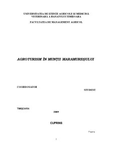 Agroturism în Munții Maramureșului - Pagina 2