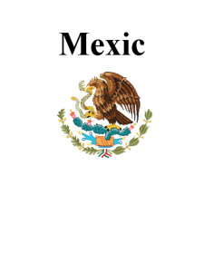 Comerțul din Mexic - Pagina 1