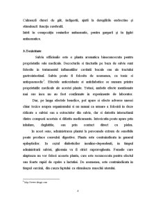 Salvia Officinalis - Pagina 4