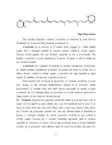 Mecanismul de acțiune al carotenoizilor - Pagina 5