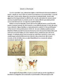 Rasa de câini Saint Bernard - Pagina 2