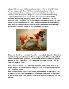 Rasa de câini Saint Bernard - Pagina 4