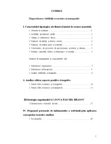 Metodologii manageriale - SC Nova Pan SRL - Pagina 2