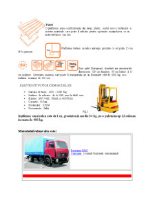 Tehnologia transportului de mărfuri - Pagina 3