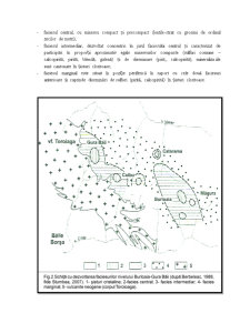 Centura de mineralizații polimetalice asociate epimetamorfitelor din Carpații Orientali - zona Bălan - Pagina 4