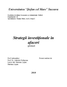 Strategii investiționale în afaceri - SC Bermas SA - Pagina 1