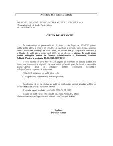 Audit intern Primăria Municipiului Suceava - Pagina 4