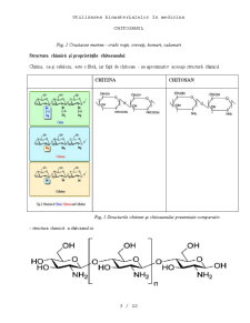Chitosanul - utilizarea lui ca biomaterial și implicații în medicină - Pagina 3
