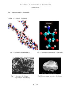 Chitosanul - utilizarea lui ca biomaterial și implicații în medicină - Pagina 4