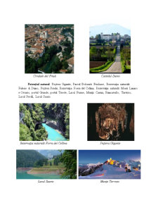 Analiza Activității Turistice Recente din Regiunea Friuli Venezia Giulia - Pagina 5
