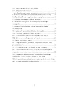 Studiu de Fezabilitate la SC BRAN SRL - Pagina 3