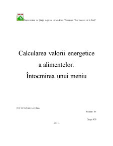 Calcularea valorii energetice a alimentelor - întocmirea unui meniu - Pagina 1
