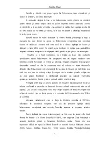 Stilul Brâncovenesc - Pagina 3