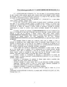 Diagnosticul financiar al întreprinderii SC Lasselsberger România SA - Pagina 2