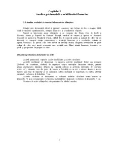 Diagnosticul financiar al întreprinderii SC Lasselsberger România SA - Pagina 3