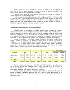 Diagnosticul financiar al întreprinderii SC Lasselsberger România SA - Pagina 5