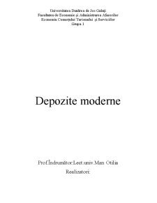 Depozite Moderne - Pagina 1