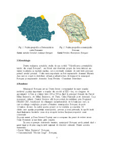 Valorificarea Potentialului Turistic din Orasul Botoșani - Pagina 3
