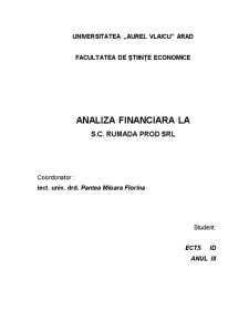 Analiza financiară la SC Rumada Prod SRL - Pagina 1