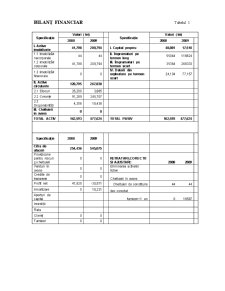 Analiza financiară la SC Rumada Prod SRL - Pagina 2