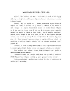Analiza financiară la SC Rumada Prod SRL - Pagina 3