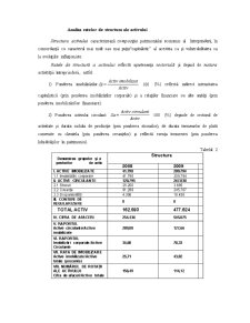 Analiza financiară la SC Rumada Prod SRL - Pagina 4