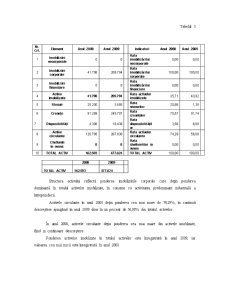 Analiza financiară la SC Rumada Prod SRL - Pagina 5