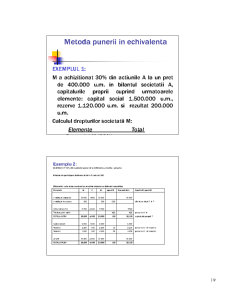 Consolidarea conturilor - Pagina 19