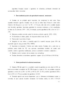 Implementarea PAC în România - Pagina 4