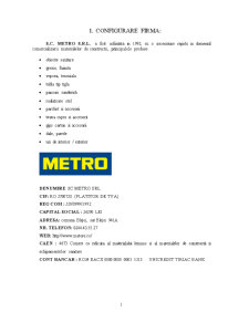 Auditul Sistemelor Informatice Metro SRL - Pagina 1