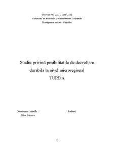Studiu privind posibilitățile de dezvoltare durabilă la nivel microregional Turda - Pagina 1