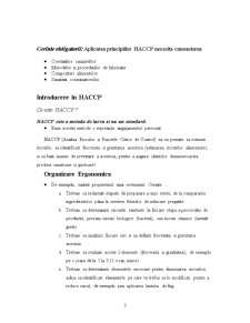 Ergonomia la Locul de Munca - Responsabil HACCP - Pagina 3