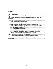Obținerea biogazului - Pagina 2