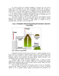 Obținerea biogazului - Pagina 5