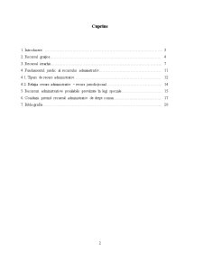 Procedură administrativă - recursul administrativ - Pagina 2