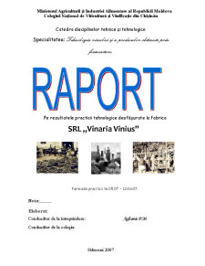 Raport pe rezultatele practicii tehnologice desfășurate la fabrica Srl Vinăria Vinius - Pagina 1
