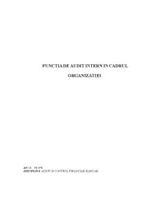 Funcția de audit intern în cadrul organizației - Pagina 1
